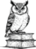 Koha Expert